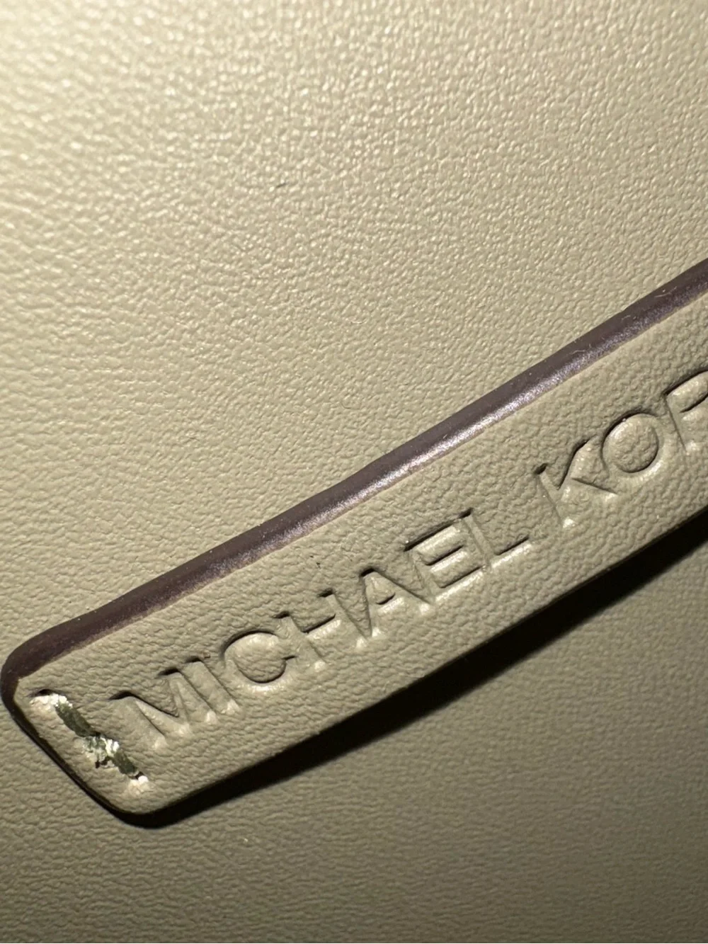 Michael Kors Sage Green Leather Crossbody with Gold Chain Accent